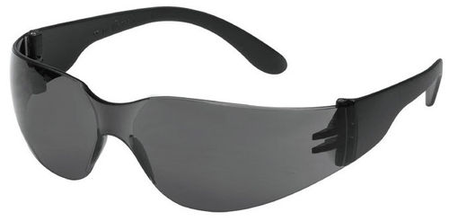 Schutzbrille Champ Variante Schwarz/Grau
